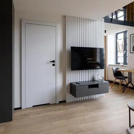 Chic - Cozy And Stylish - Center - Jp33 公寓 弗罗茨瓦夫