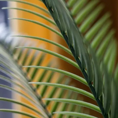 Chic - Cozy And Stylish - Center - Jp33 Апартаменты *